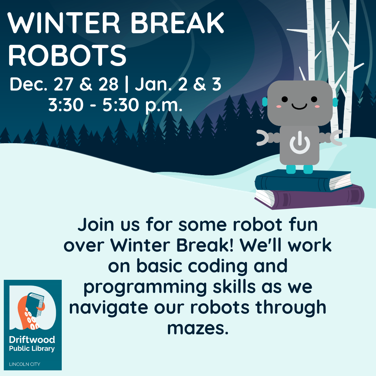 Winter Break Robots